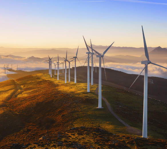 Green energy: wind turbines